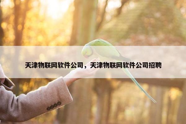 天津物联网软件公司，天津物联网软件公司招聘