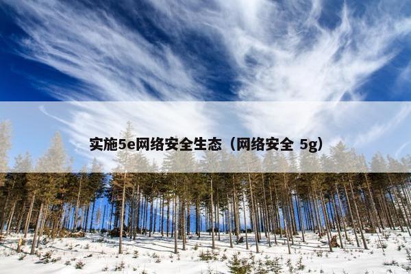 实施5e网络安全生态（网络安全 5g）