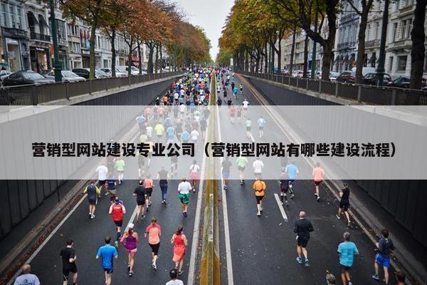 营销型网站建设专业公司（营销型网站有哪些建设流程）