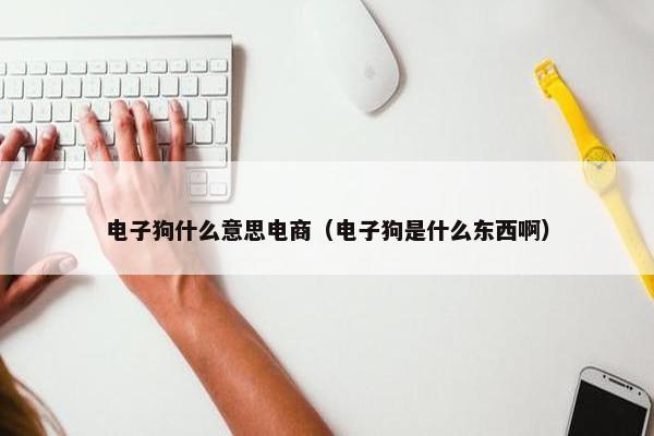 电子狗什么意思电商（电子狗是什么东西啊）