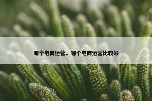 哪个电商运营，哪个电商运营比较好