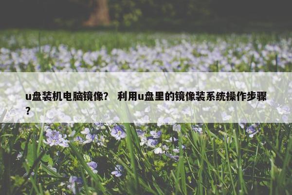 u盘装机电脑镜像？ 利用u盘里的镜像装系统操作步骤？