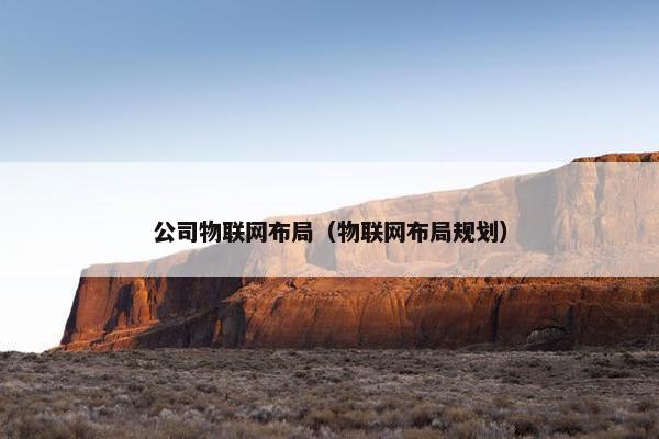 公司物联网布局（物联网布局规划）