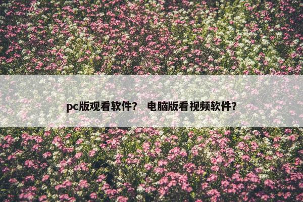 pc版观看软件？ 电脑版看视频软件？