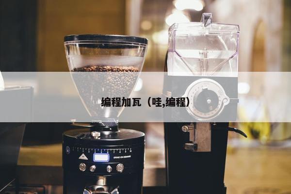 编程加瓦（哇,编程）