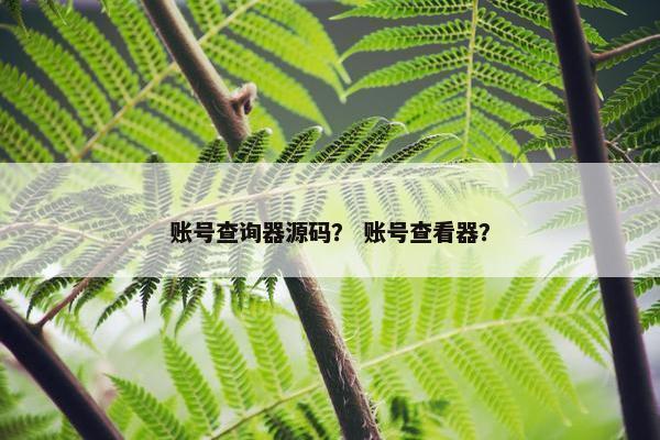 账号查询器源码？ 账号查看器？