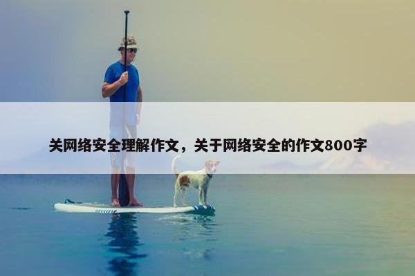 关网络安全理解作文，关于网络安全的作文800字
