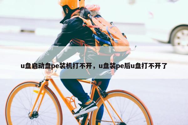 u盘启动盘pe装机打不开，u盘装pe后u盘打不开了