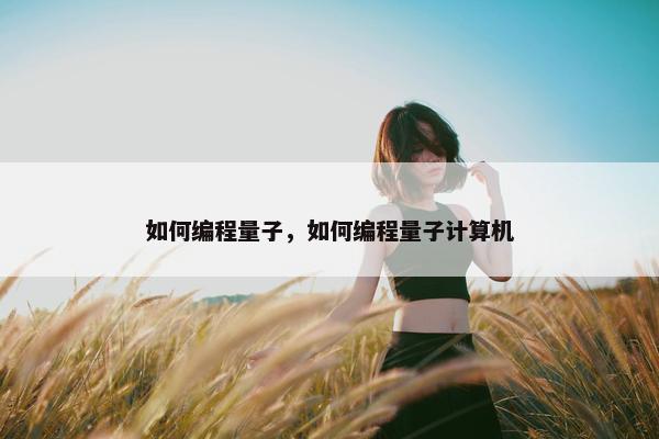 如何编程量子，如何编程量子计算机