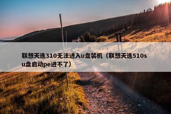 联想天逸310无法进入u盘装机（联想天逸510s u盘启动pe进不了）