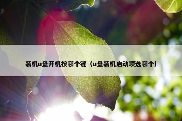 装机u盘开机按哪个键（u盘装机启动项选哪个）