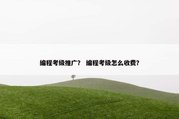 编程考级推广？ 编程考级怎么收费？