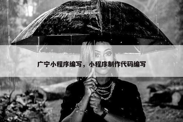 广宁小程序编写，小程序制作代码编写