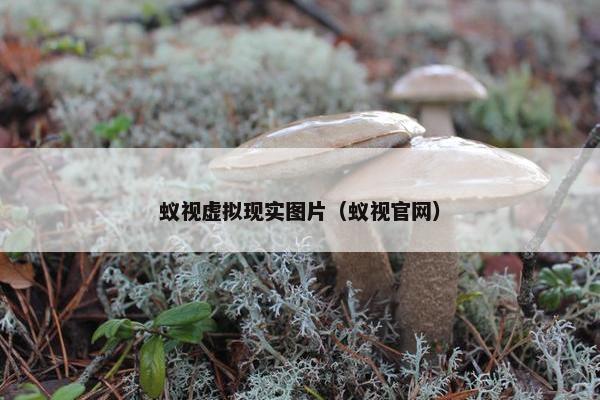 蚁视虚拟现实图片（蚁视官网）