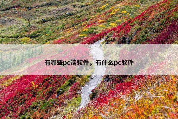 有哪些pc端软件，有什么pc软件