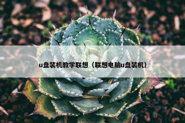 u盘装机教学联想（联想电脑u盘装机）