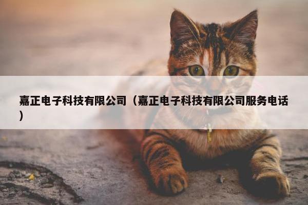 嘉正电子科技有限公司（嘉正电子科技有限公司服务电话）