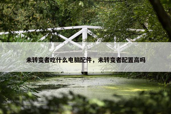 未转变者吃什么电脑配件，未转变者配置高吗