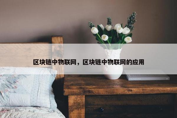 区块链中物联网，区块链中物联网的应用