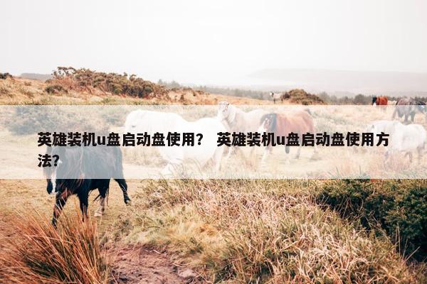 英雄装机u盘启动盘使用？ 英雄装机u盘启动盘使用方法？