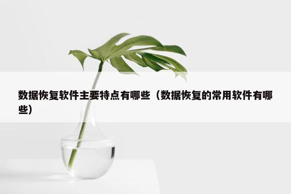 数据恢复软件主要特点有哪些（数据恢复的常用软件有哪些）