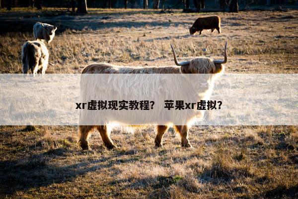 xr虚拟现实教程？ 苹果xr虚拟？