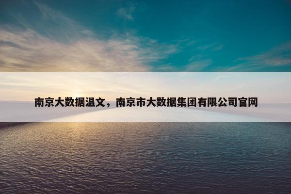 南京大数据温文，南京市大数据集团有限公司官网