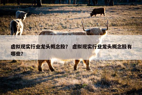 虚拟现实行业龙头概念股？ 虚拟现实行业龙头概念股有哪些？