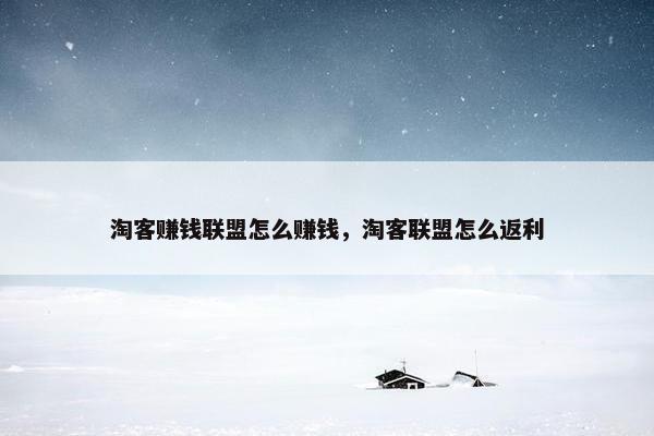 淘客赚钱联盟怎么赚钱，淘客联盟怎么返利