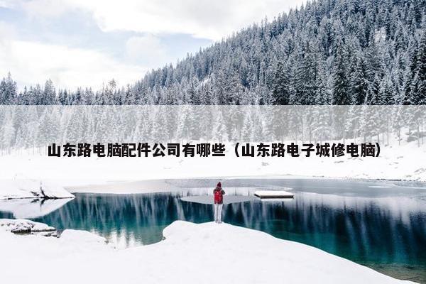 山东路电脑配件公司有哪些（山东路电子城修电脑）