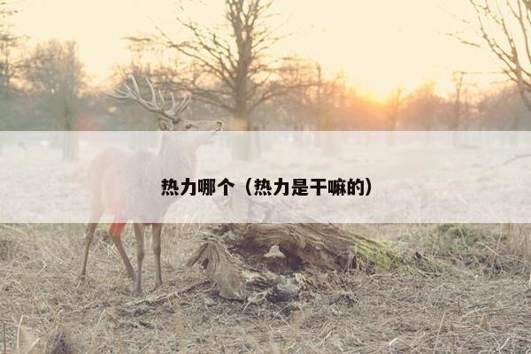 热力哪个（热力是干嘛的）
