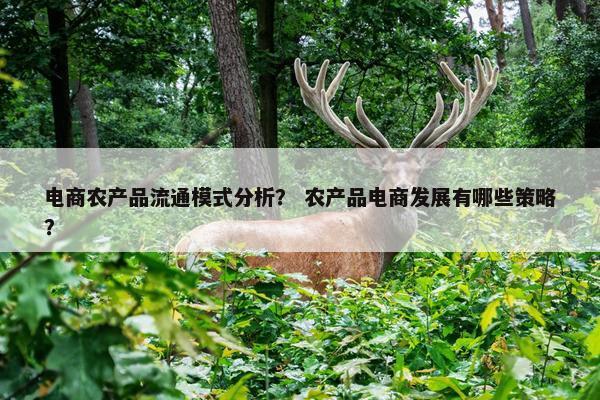 电商农产品流通模式分析？ 农产品电商发展有哪些策略？