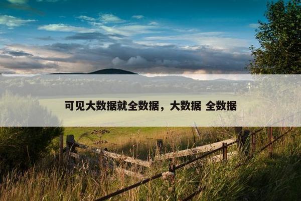 可见大数据就全数据，大数据 全数据