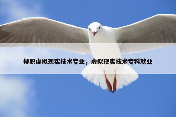 柳职虚拟现实技术专业，虚拟现实技术专科就业