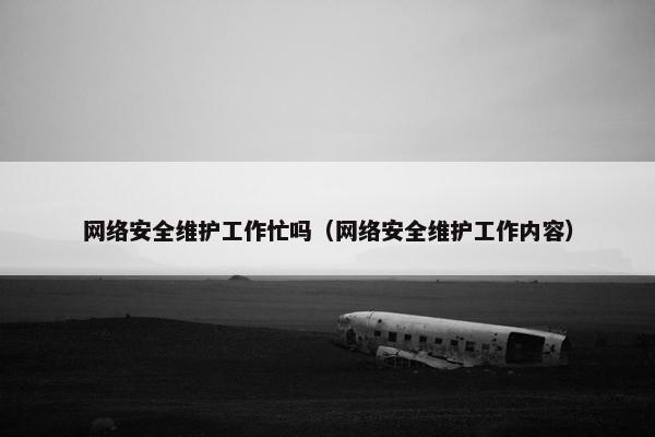 网络安全维护工作忙吗（网络安全维护工作内容）