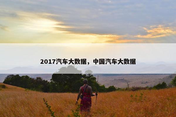 2017汽车大数据，中国汽车大数据
