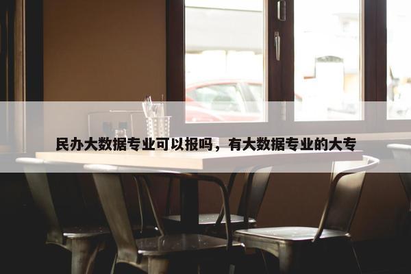民办大数据专业可以报吗，有大数据专业的大专