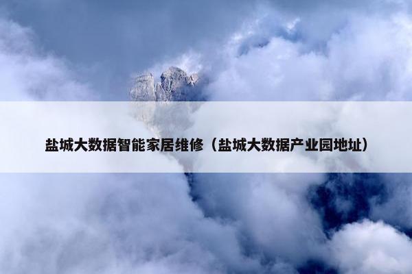 盐城大数据智能家居维修（盐城大数据产业园地址）
