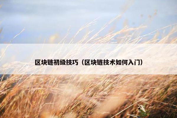 区块链初级技巧（区块链技术如何入门）