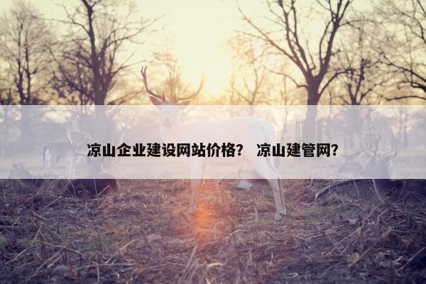 凉山企业建设网站价格？ 凉山建管网？