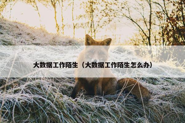 大数据工作陌生（大数据工作陌生怎么办）