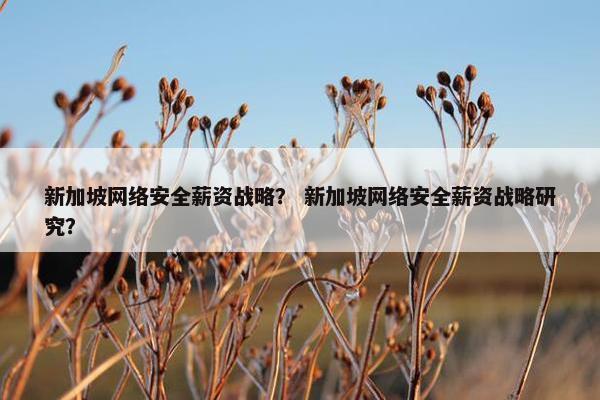 新加坡网络安全薪资战略？ 新加坡网络安全薪资战略研究？