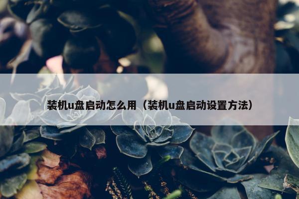 装机u盘启动怎么用（装机u盘启动设置方法）