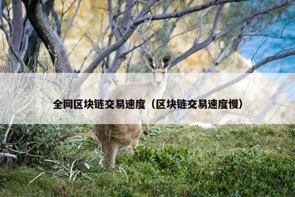 全网区块链交易速度（区块链交易速度慢）