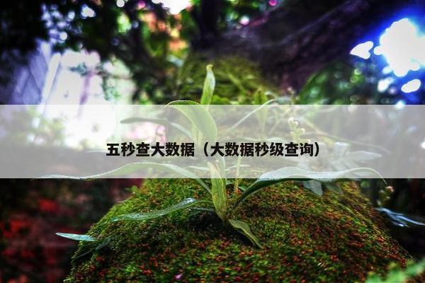 五秒查大数据（大数据秒级查询）