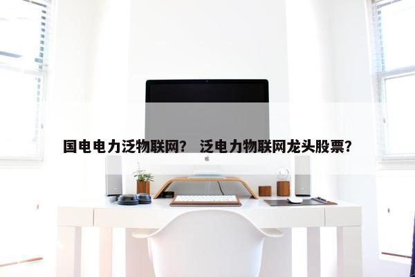 国电电力泛物联网？ 泛电力物联网龙头股票？