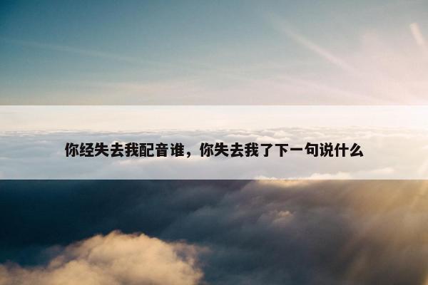你经失去我配音谁，你失去我了下一句说什么