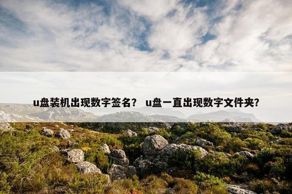 u盘装机出现数字签名？ u盘一直出现数字文件夹？