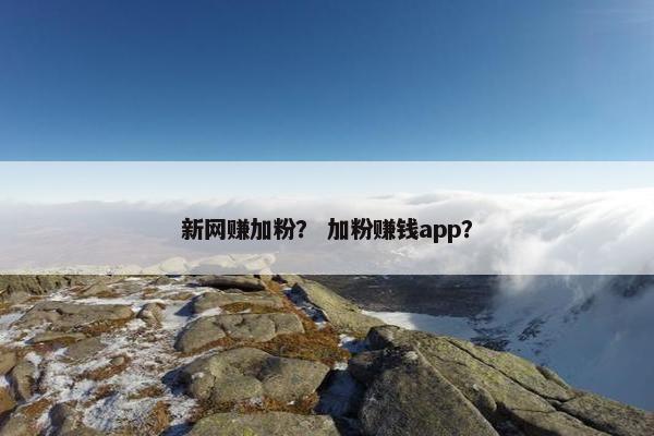 新网赚加粉？ 加粉赚钱app？