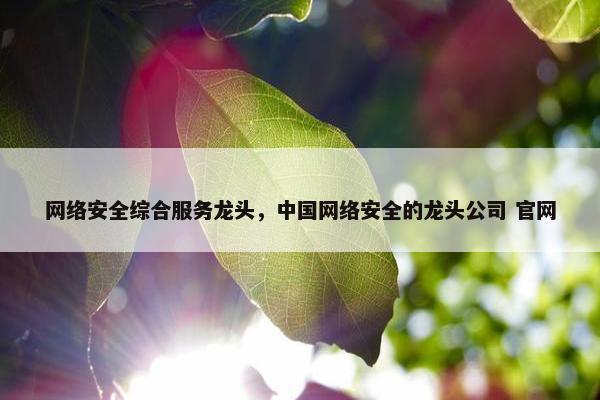 网络安全综合服务龙头，中国网络安全的龙头公司 官网